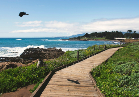 Moonstone Beach Boardwalk, Cambria CA The Moonstone Beach boardwalk along the coast in Cambria, California