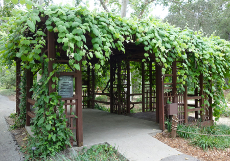 Garden pavilion at Descanso Gardens in La Cañada Flintridge, California