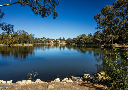 Calm morning at Vasona Lake County Park in Los Gatos, California