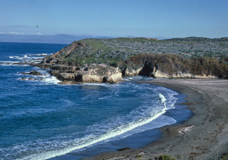 Coastline at Montana de Oro State Park in Los Osos, California