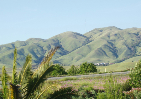 View across Milpitas, California toward the eastern foothills