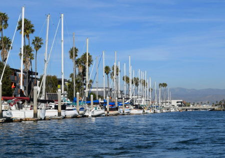 Sailboats and palm trees at a marina in Oxnard, California