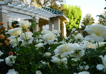 Tournament House gardens on South Orange Grove Boulevard in Pasadena, California