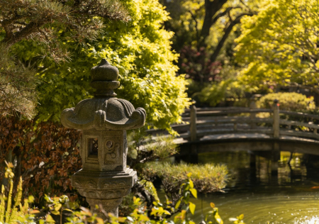 The Japanese Tea Garden in Central Park, San Mateo, California