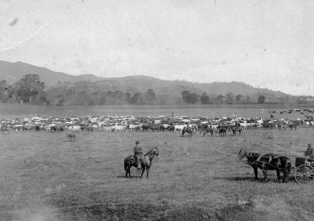 P. W. Murphy Ranch, Santa Margarita CA (historic) Historic photo of the P. W. Murphy Ranch in Santa Margarita, California