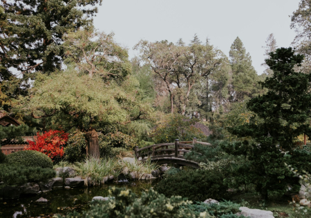 Pond and footbridge at Hakone Estate and Gardens in Saratoga, California
